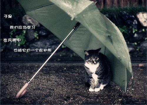 庚姓三个字取名大全