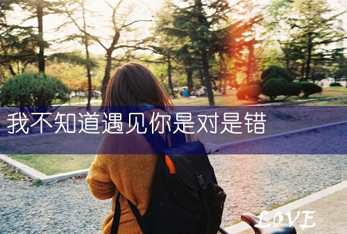 楼姓女宝宝名字属龙