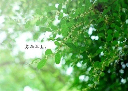 名字女宝宝起名网属龙