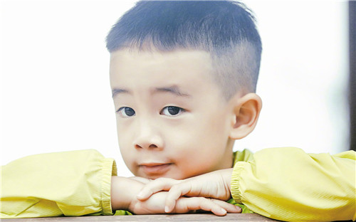 菽字的五行属性是什么,菽字起名字的含义
